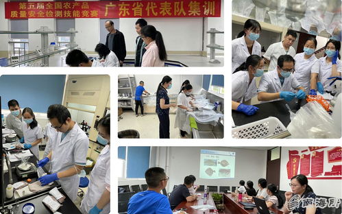 南海所質檢中心指導農安水產組競賽創佳績 獲全國大獎并受省通報表彰